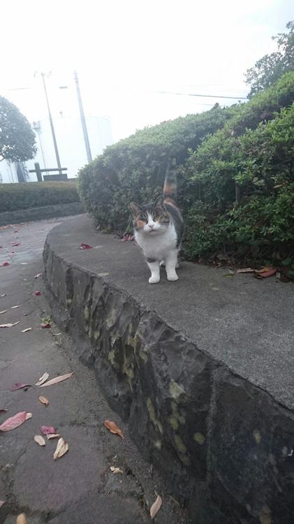 塩竈市役所　みなと公園管理事務所 - メイン写真: