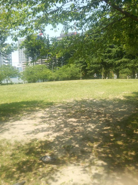 錦町公園 - メイン写真: