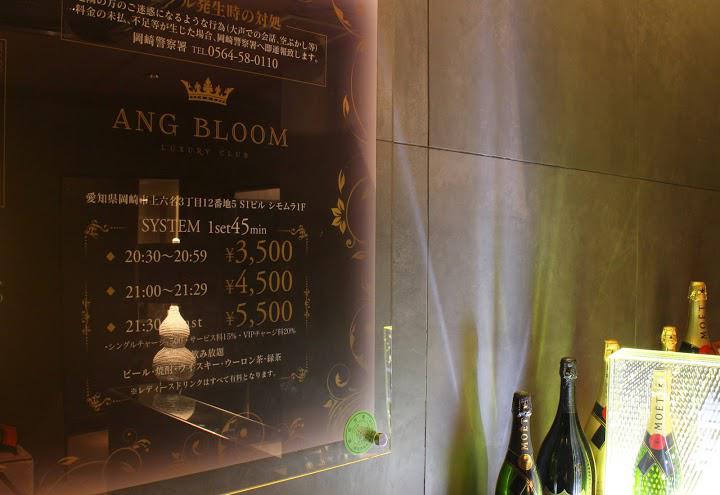 岡崎 キャバクラ Ang Bloom アンジュ ブルーム