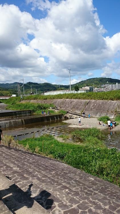 芥川緑地公園 - メイン写真: