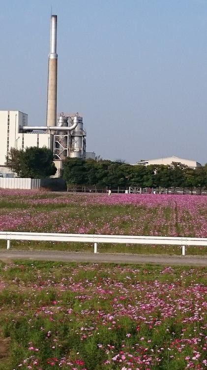 水上ゴルフセンター - メイン写真: