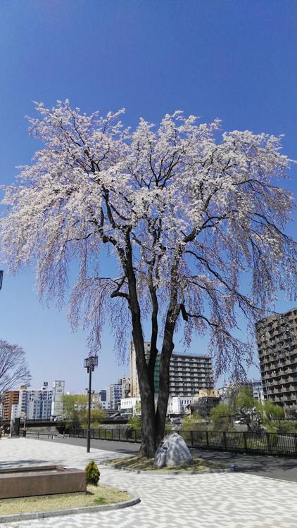 啄木であい道 (木伏緑地) - メイン写真: