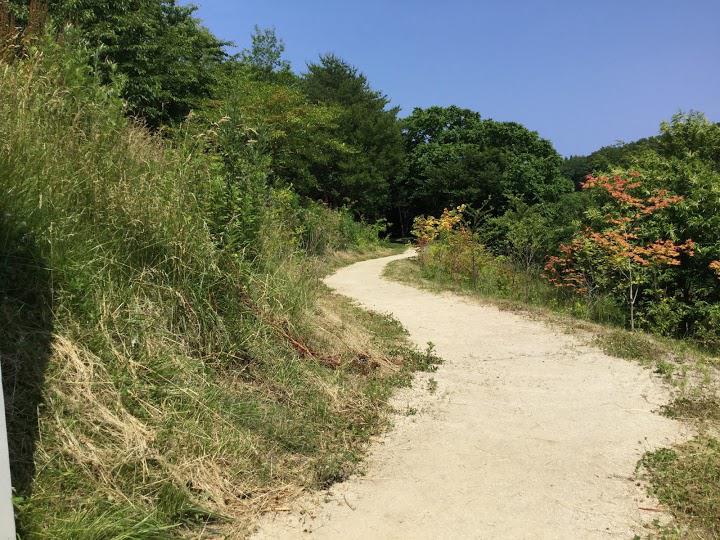 崎山貝塚縄文の森公園 - メイン写真: