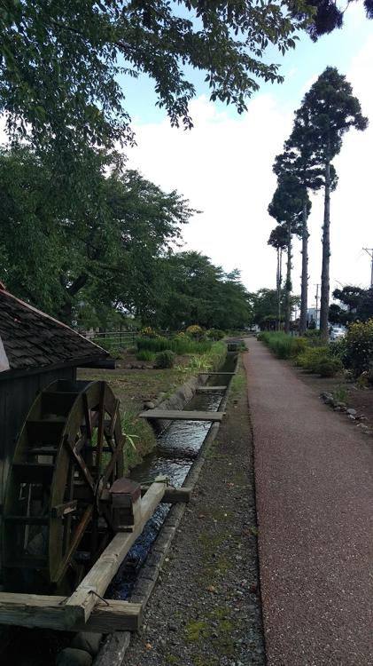 稲生川ふれあい公園 - メイン写真: