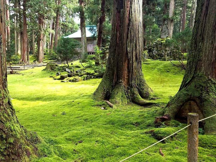 白山平泉寺駐車場 - メイン写真: