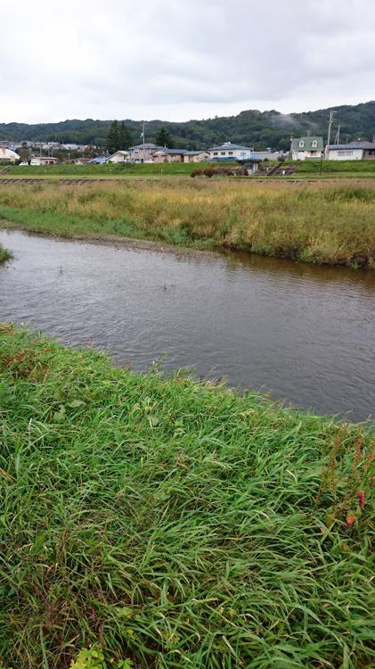 久慈川河川公園 - メイン写真: