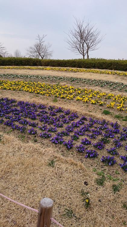 馬見丘陵公園 北駐車場 - メイン写真: