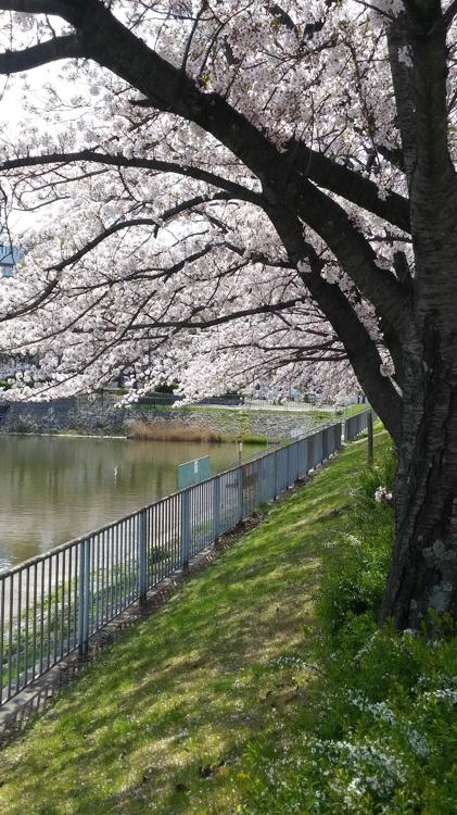 The 3 Best Park in Tempakuku