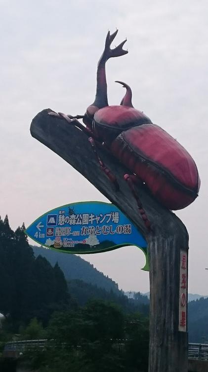 かぶとむしの湯 鉱泉センター直川 - メイン写真: