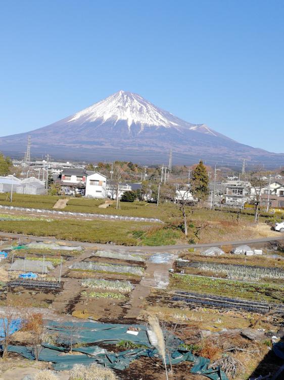 The 9 Best Park in Fujishi