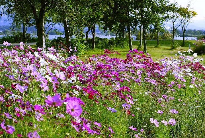 木場潟公園西園地休憩所 - メイン写真: