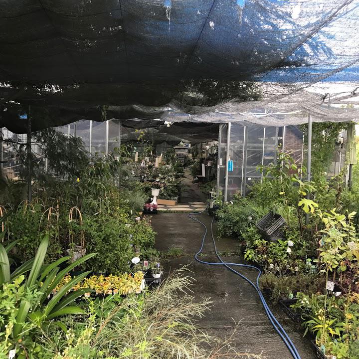 花工房 たんぽぽ