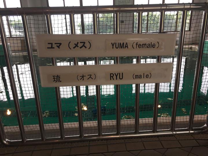 本部町 水族館ランキングTOP3