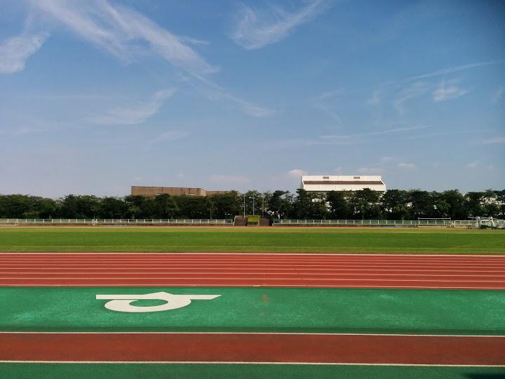 知多運動公園 野球場 - メイン写真: