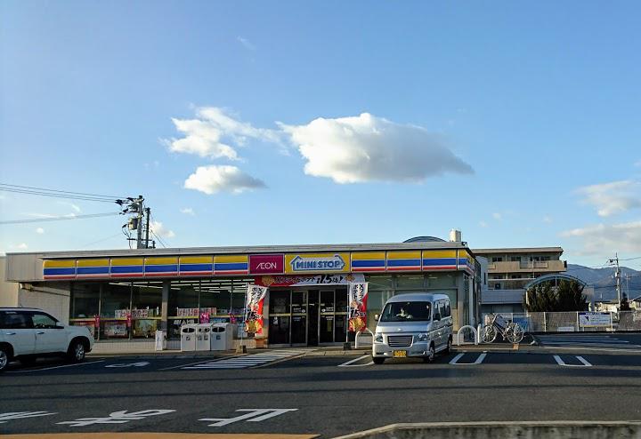 ミニストップ 阿波山川店 - メイン写真: