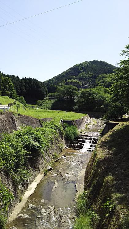 大多賀峠登山口駐車場 - メイン写真: