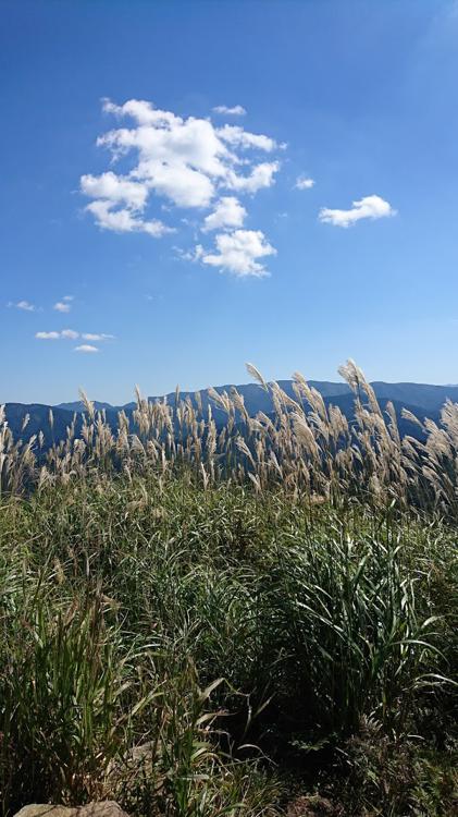 曽爾高原下り道 - メイン写真: