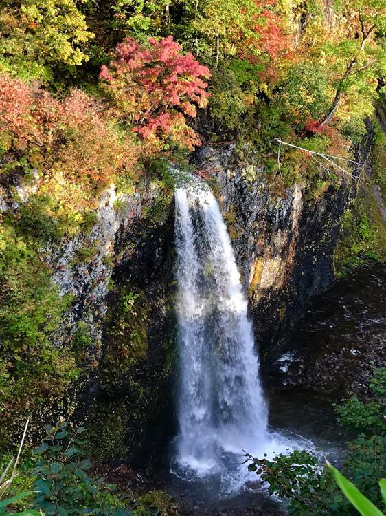 雨竜沼湿原 - メイン写真: