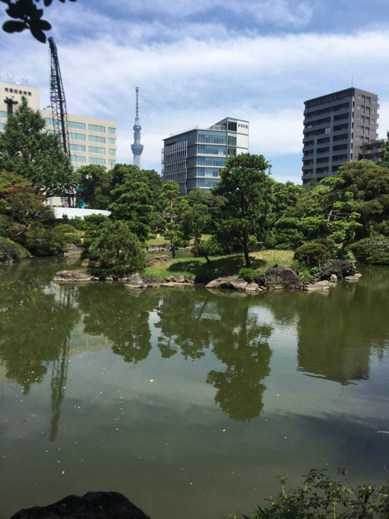 旧安田庭園 - メイン写真: