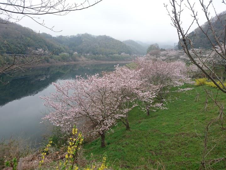 前山湖畔広場 - メイン写真: