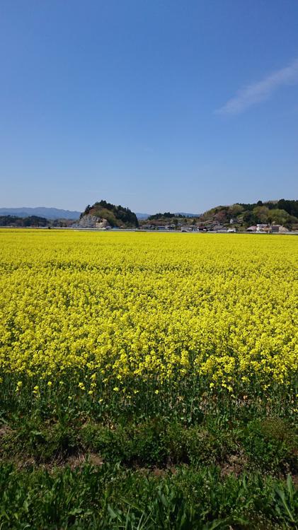 Odaka Station (小高駅) - メイン写真: