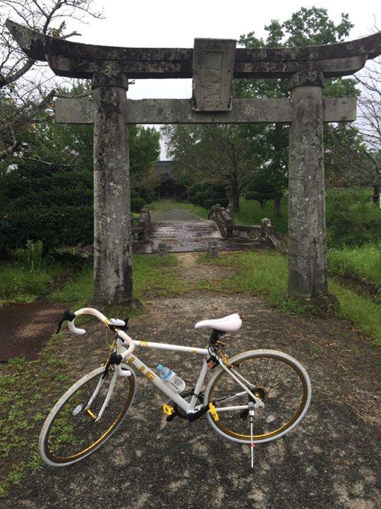 蓮池公園 - メイン写真: