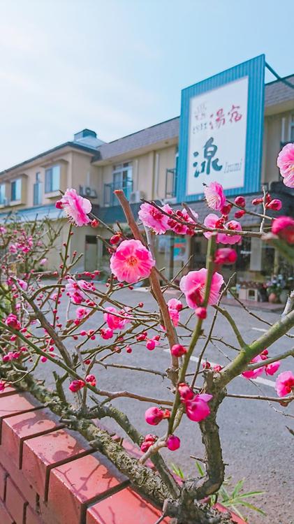 ビジネス湯宿 湶 - メイン写真: