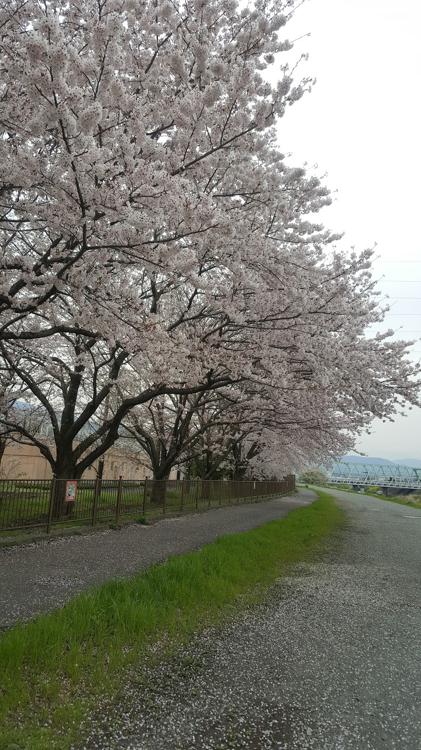 扇町しらさぎ広場 - メイン写真: