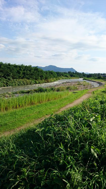 蔵王松ケ丘公園 - メイン写真: