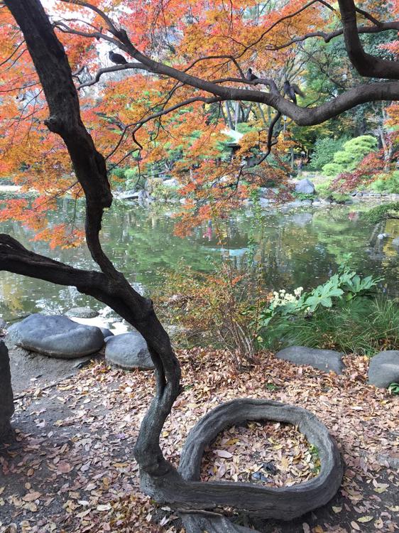 日比谷公園 雲形池と鶴の噴水 - メイン写真: