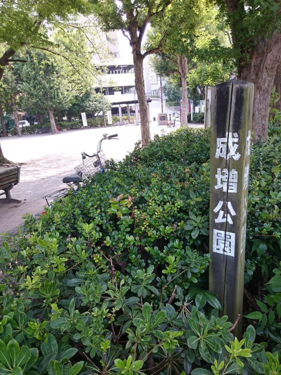 成増公園 - メイン写真: