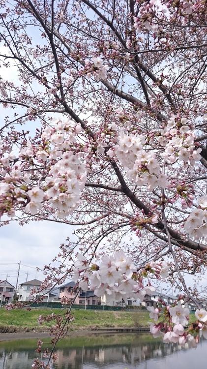 元荒川河川敷公園 - メイン写真: