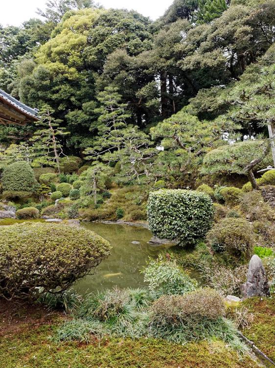 滝谷寺庭園 - メイン写真: