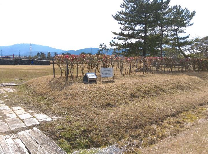 美濃国分寺跡歴史公園 - メイン写真: