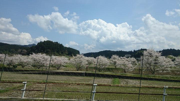 宇陀ハウジング - メイン写真: