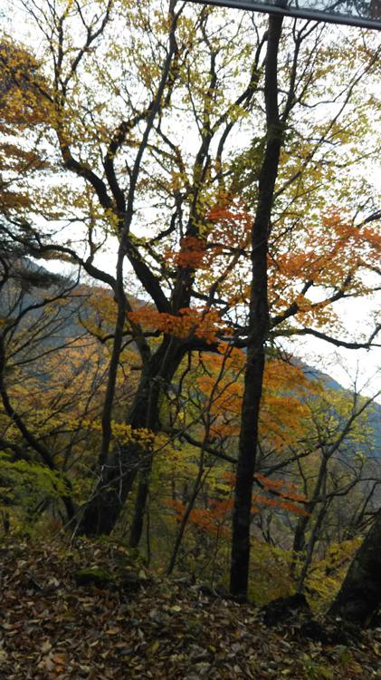 長者の郷分譲地管理組合 - メイン写真: