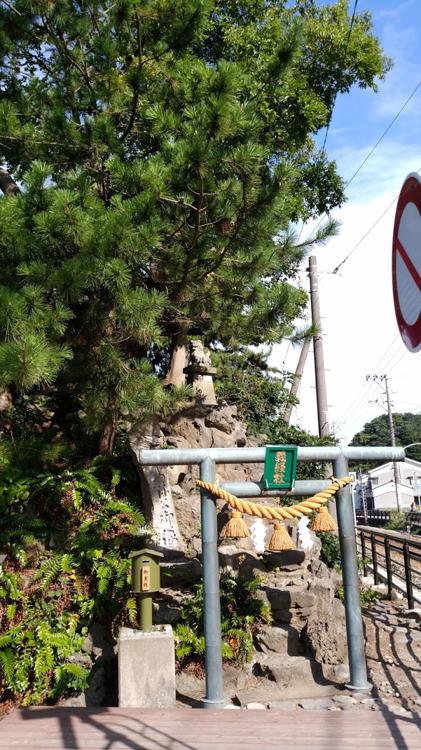 雨晴観光駐車場 - メイン写真: