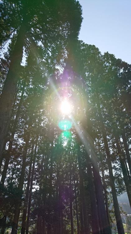 月山神社 - メイン写真: