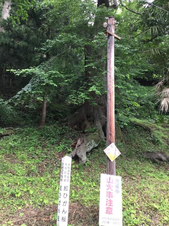 天神山社務所 - メイン写真: