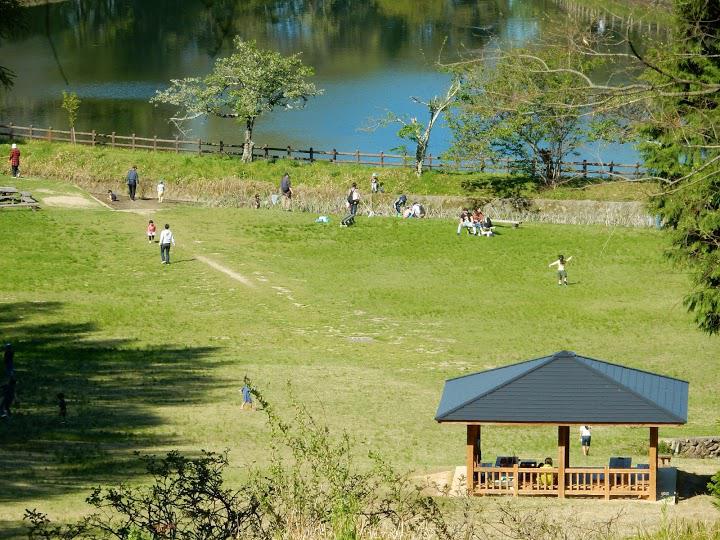 県立矢田自然公園 - メイン写真: