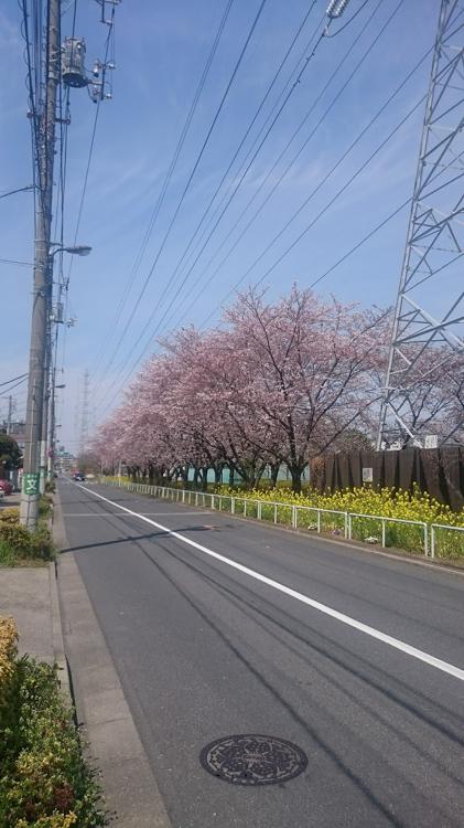 皿沼公園 - メイン写真: