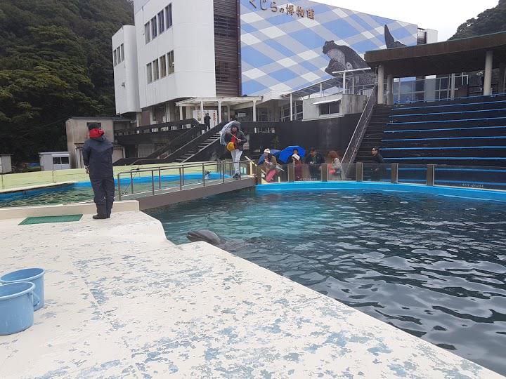 太地町立水族館 - メイン写真: