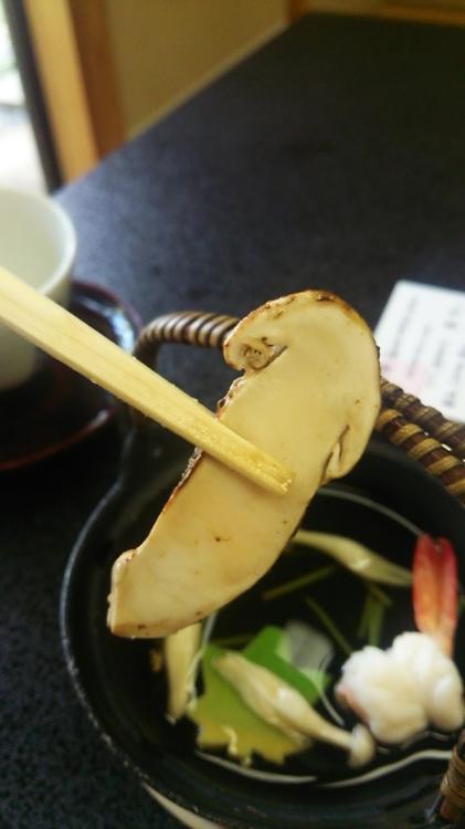 The 10 Best Restaurant in Tenryuku