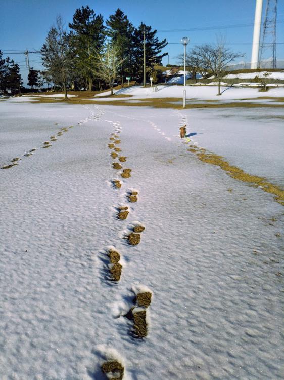 内灘町総合公園 - メイン写真: