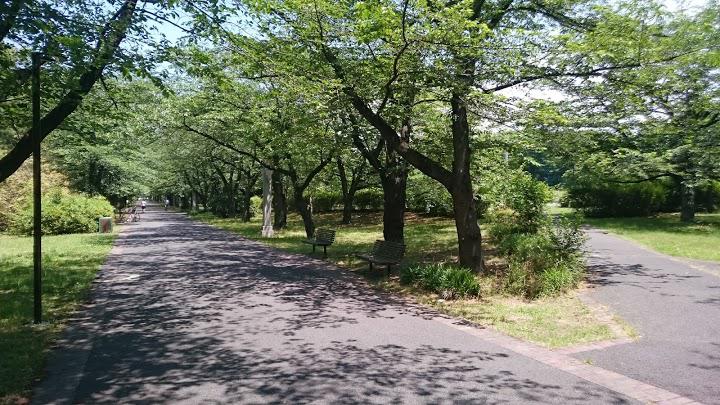 辰巳の森緑道公園 - メイン写真: