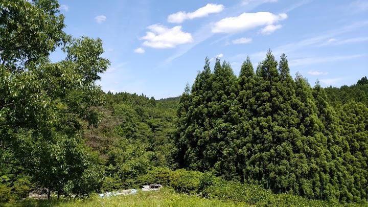 津風呂湖・自然公園・駐車場 - メイン写真: