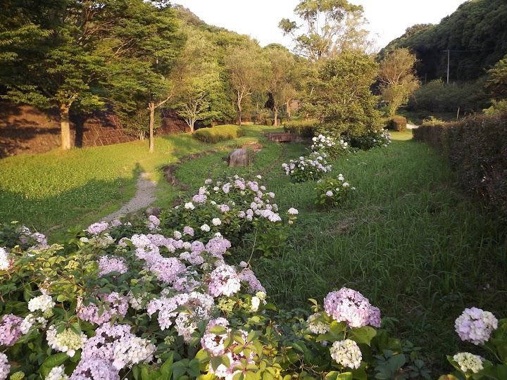 ほたる見公園 - メイン写真: