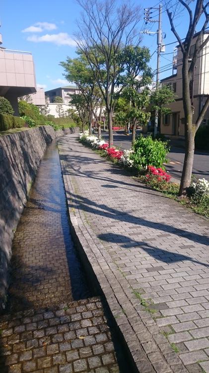 地蔵堀児童遊園 - メイン写真: