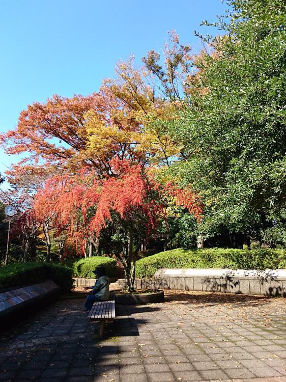 市立新習志野図書館 - メイン写真: