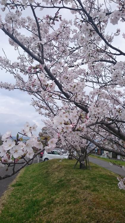 東中富親水公園 - メイン写真: